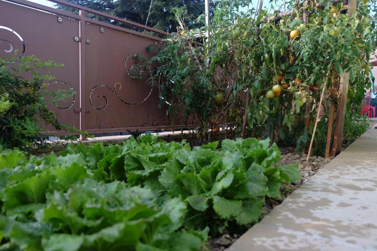 Villa Eden 蒙特法尔科 外观 照片